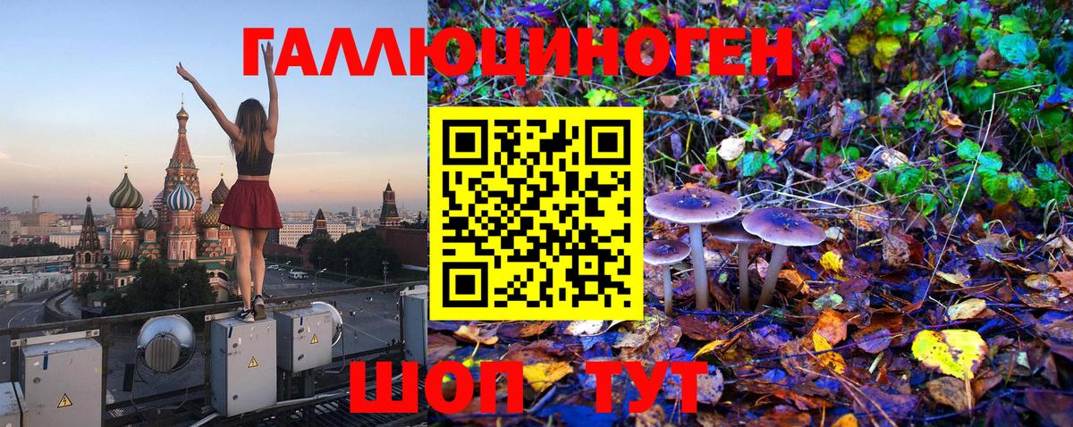 Псилоцибиновые грибы Cubensis Стрежевой